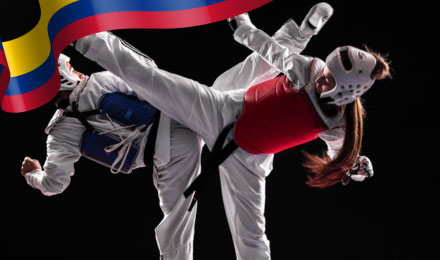 1win Deportes de combate