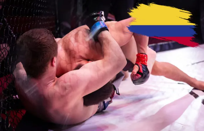 1Win MMA