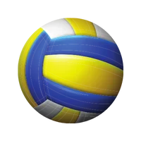 Icono Voleibol