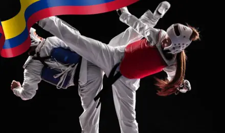 1win Deportes de combate